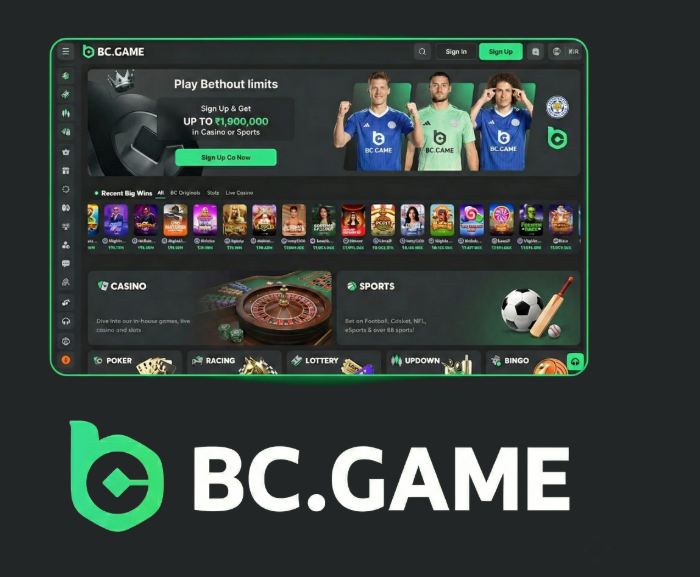 Download and Install BC.Game App A Complete Guide
